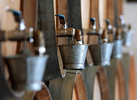 Imagen Bodegas Millán